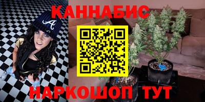 индика Абинск