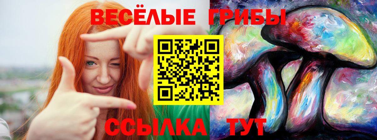 Галлюциногенные грибы MAGIC MUSHROOMS  Вход с VPN  Азнакаево  Галлюциногенные грибы Psilocybine cubensis 